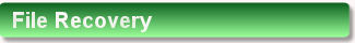 Sunningdale File Recovery